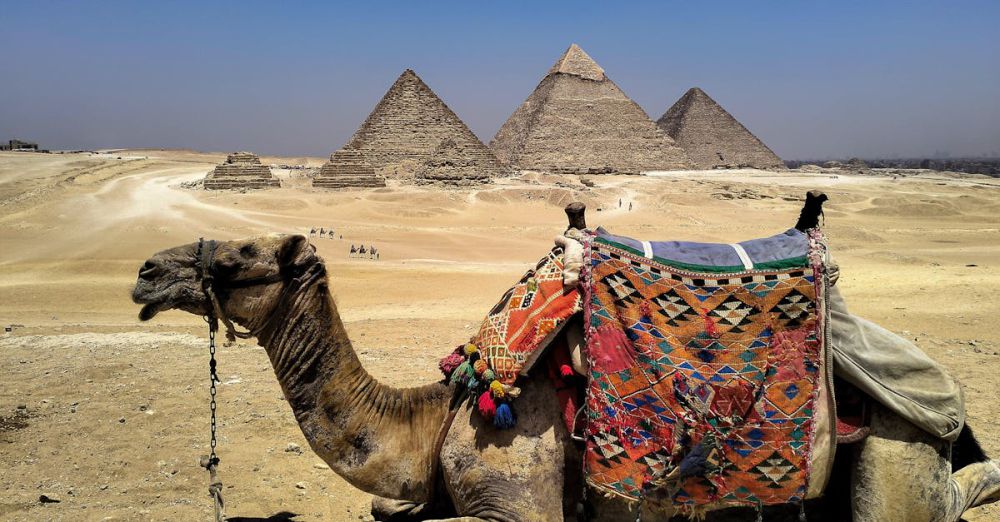 Travel Adapters - A camel with colorful saddle rests in front of the iconic Pyramids of Giza under a clear blue sky.