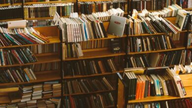 Science Books - A warm, inviting library with rows of bookshelves filled with a variety of literature, perfect for study and research.