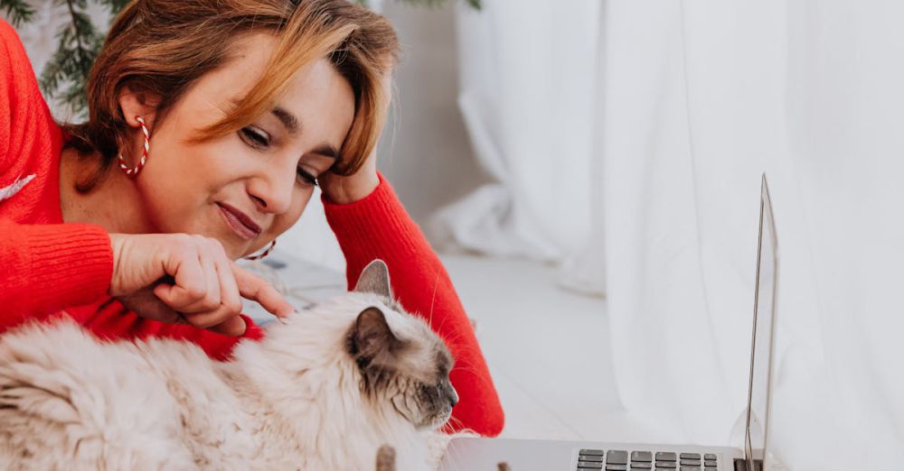 Brooches - Happy woman petting her cat under a Christmas tree with a laptop nearby, celebrating the holidays.